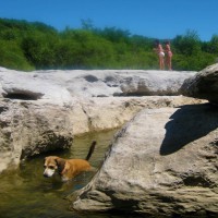 /album/maison-de-vacances/badenchewbacca-jpg/