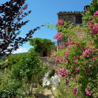 /album/maison-de-vacances/gartenblickzurterrasse-jpg/