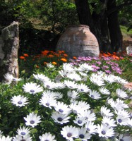 /album/maison-de-vacances/gartenblumenvase-jpg/