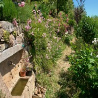 /album/maison-de-vacances/gartenbrunnen-jpg/