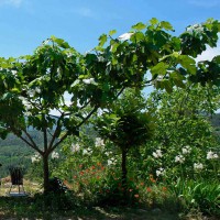/album/maison-de-vacances/gartenterrassere-jpg/