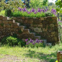 /album/maison-de-vacances/gartentreppeirisoben-jpg/