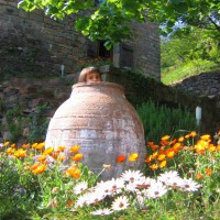 /album/maison-de-vacances/noavase-jpg/
