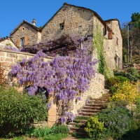 /album/maison-de-vacances/terrasseansichtvonunten-jpg/