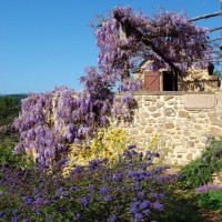 /album/maison-de-vacances/terrassegross-jpg/