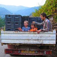 /album/maison-de-vacances/weinlaster-jpg/